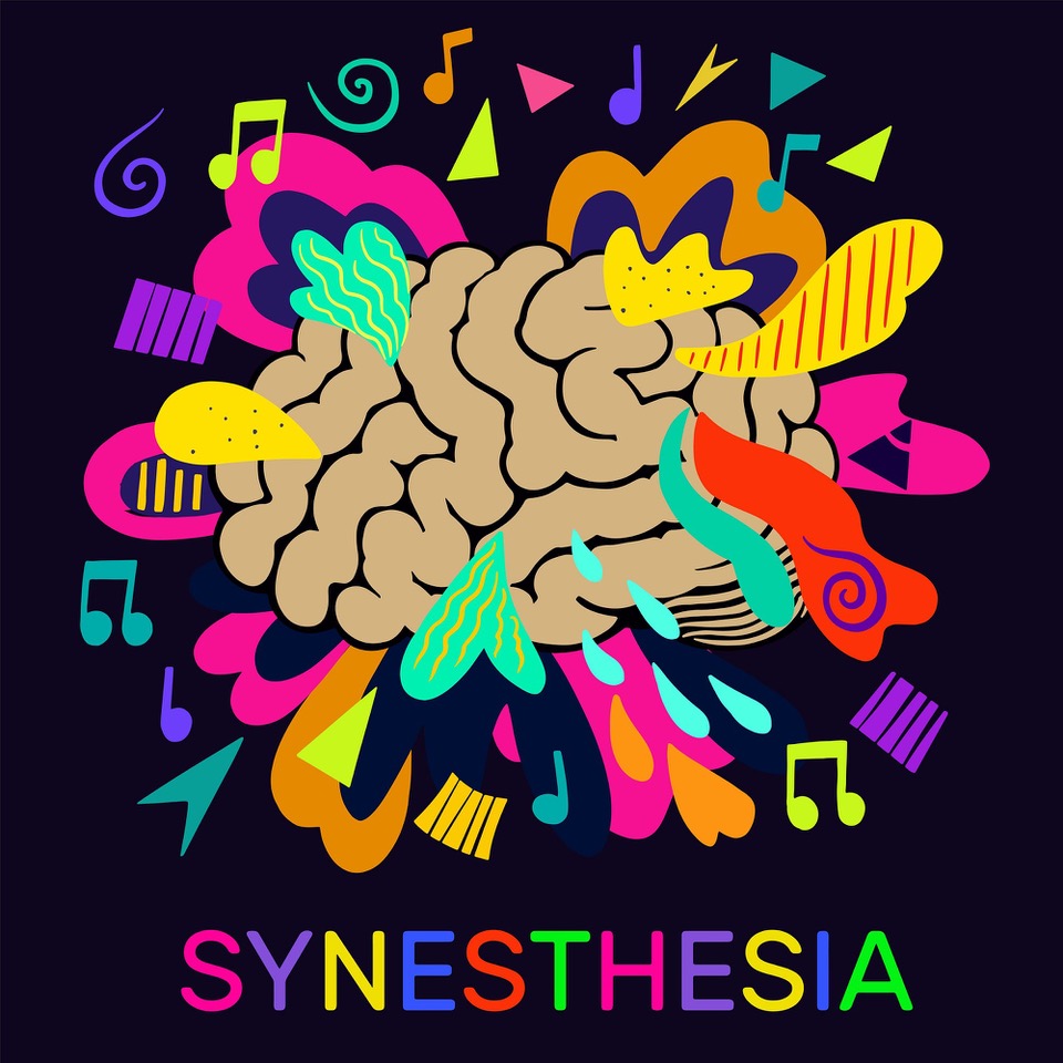 Colourful shapes and musical tones bursting outwards from an illustration of a brain