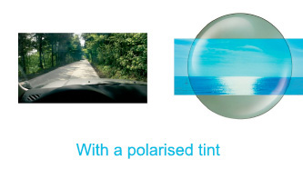 Polarised Lenses