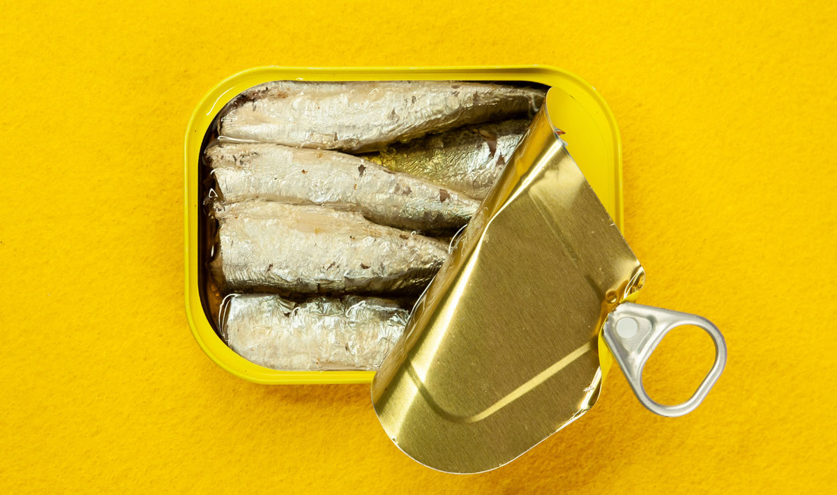 Sardines